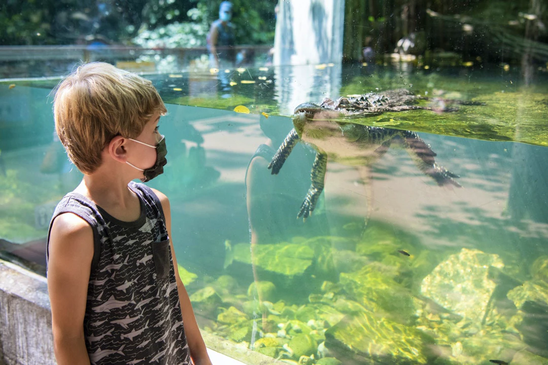Bronx Zoo Ticket Discount